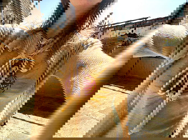 _femalien image ~ Altpins