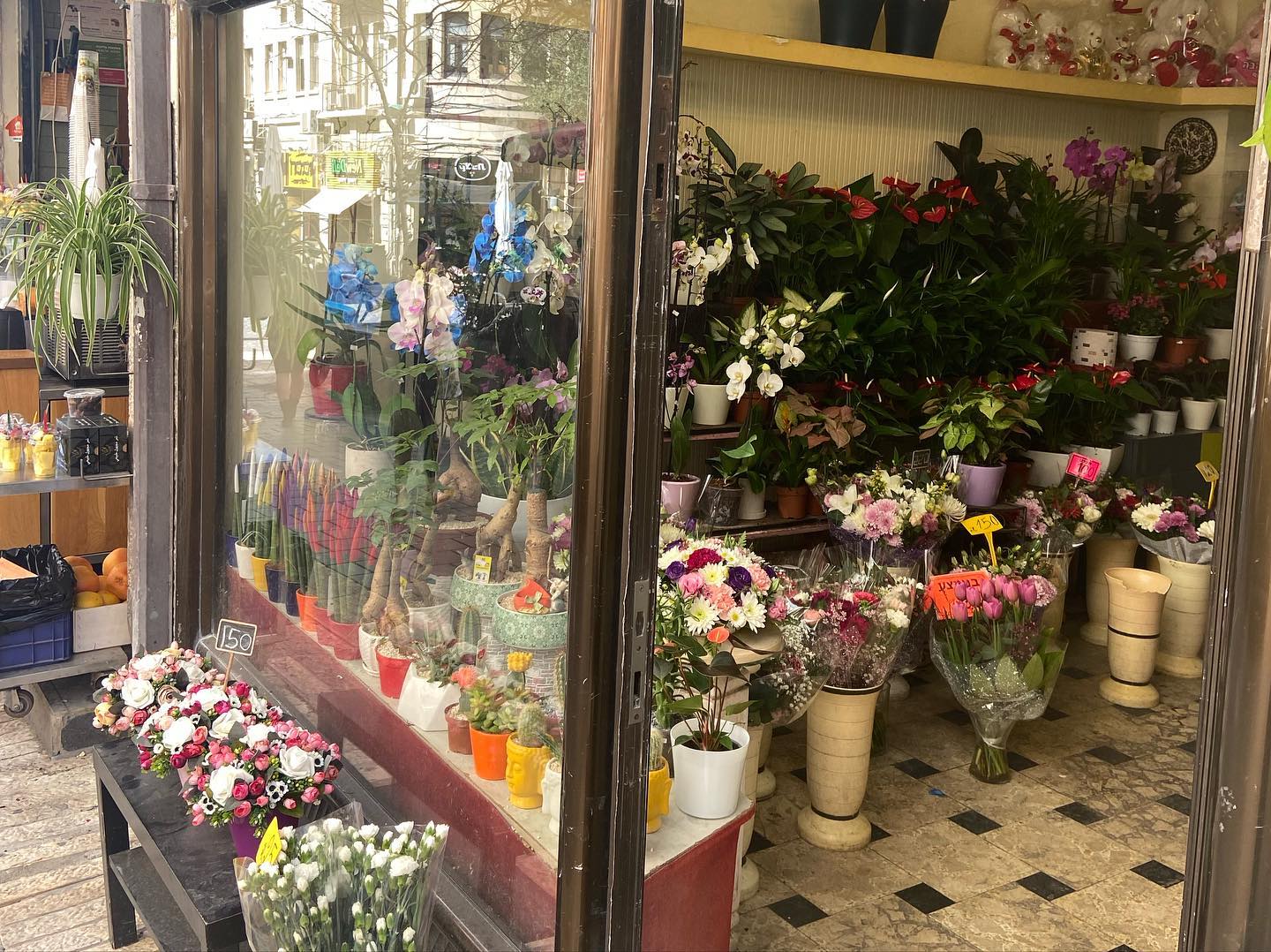 _femalien instagram image archive image