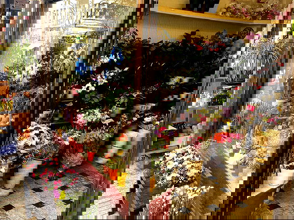 _femalien image ~ Altpins