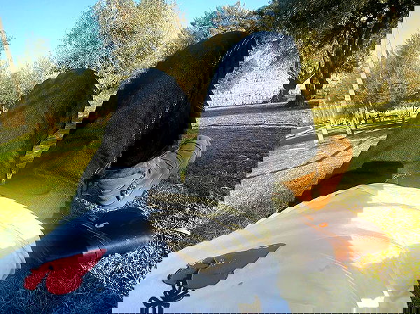 _femalien image ~ Altpins