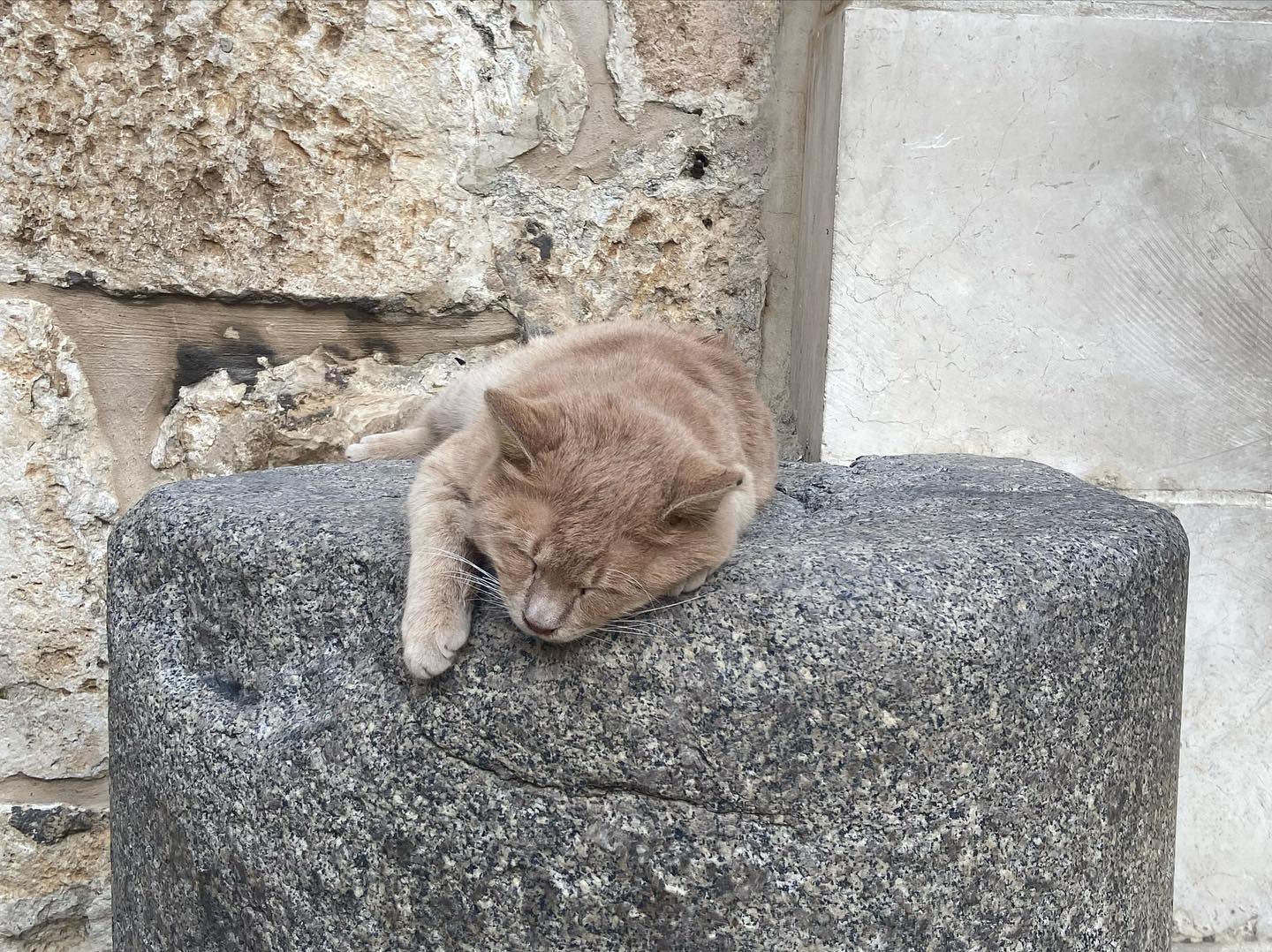 _femalien instagram image archive image