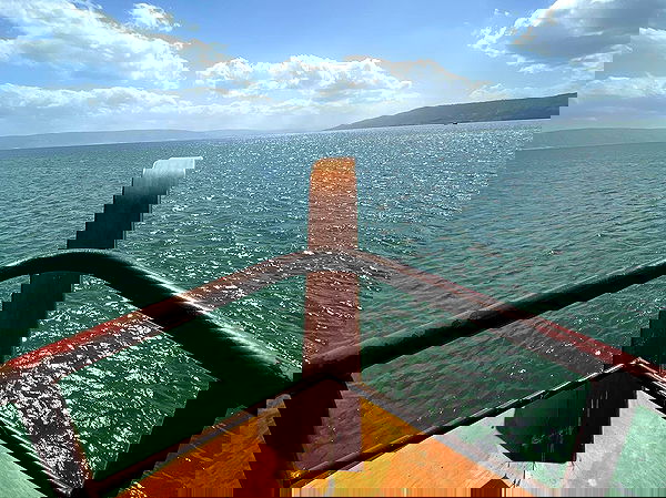 _femalien image ~ Altpins