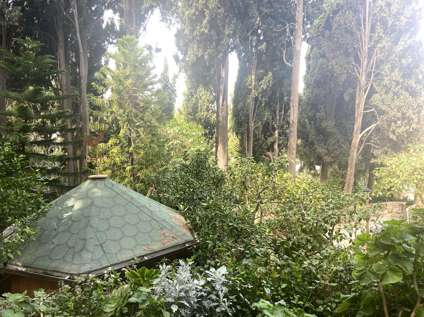 _femalien instagram image archive image