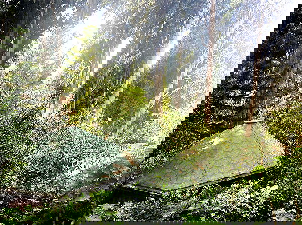 _femalien image ~ Altpins