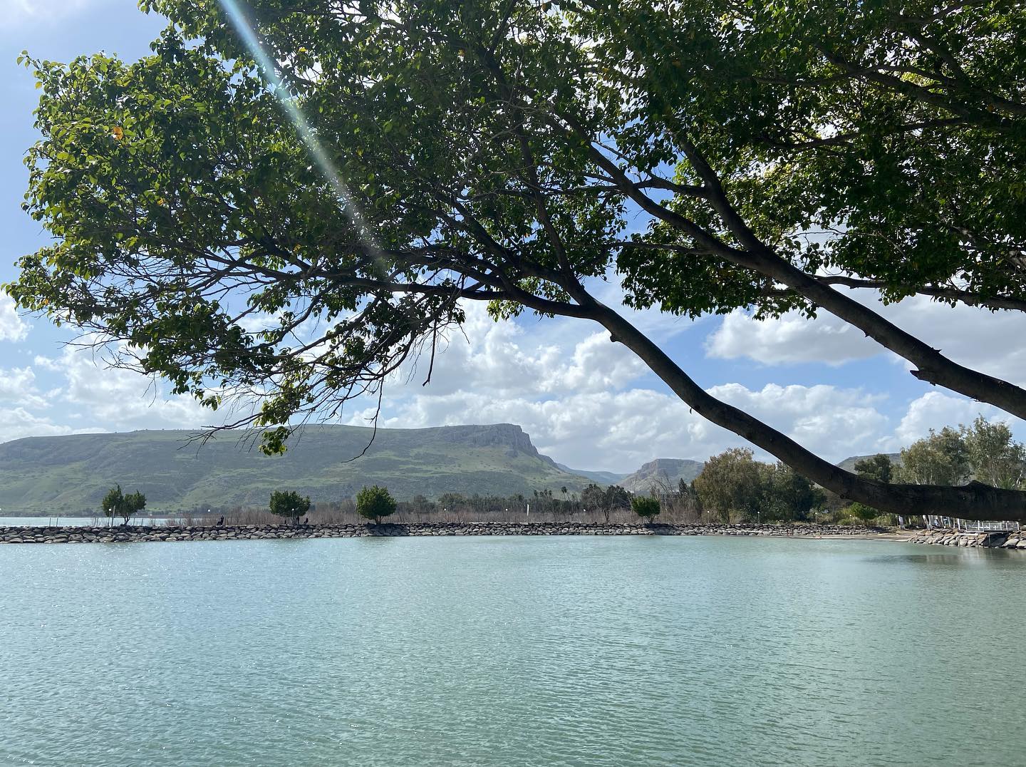 _femalien instagram image archive image