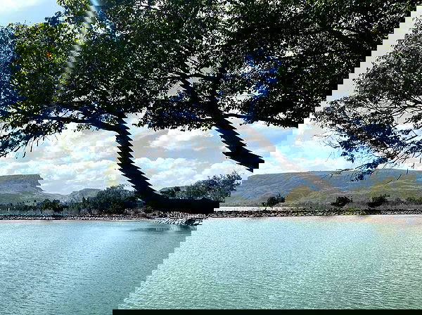 _femalien image ~ Altpins