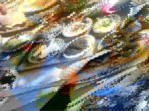 _femalien image ~ Altpins