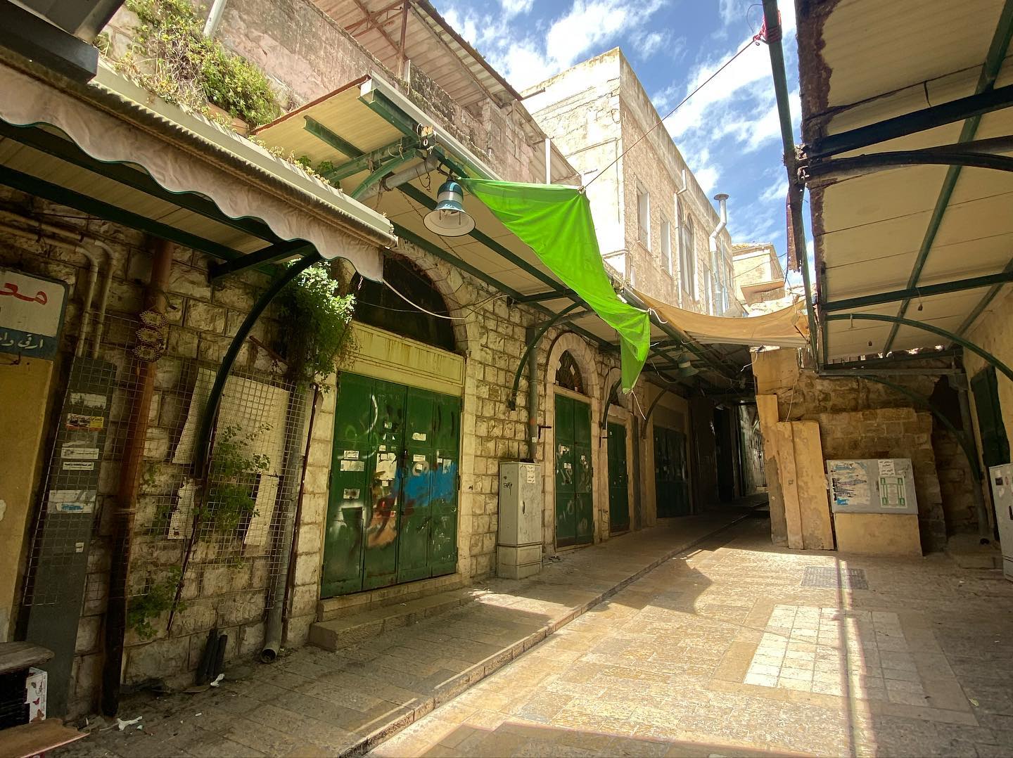 _femalien instagram image archive image