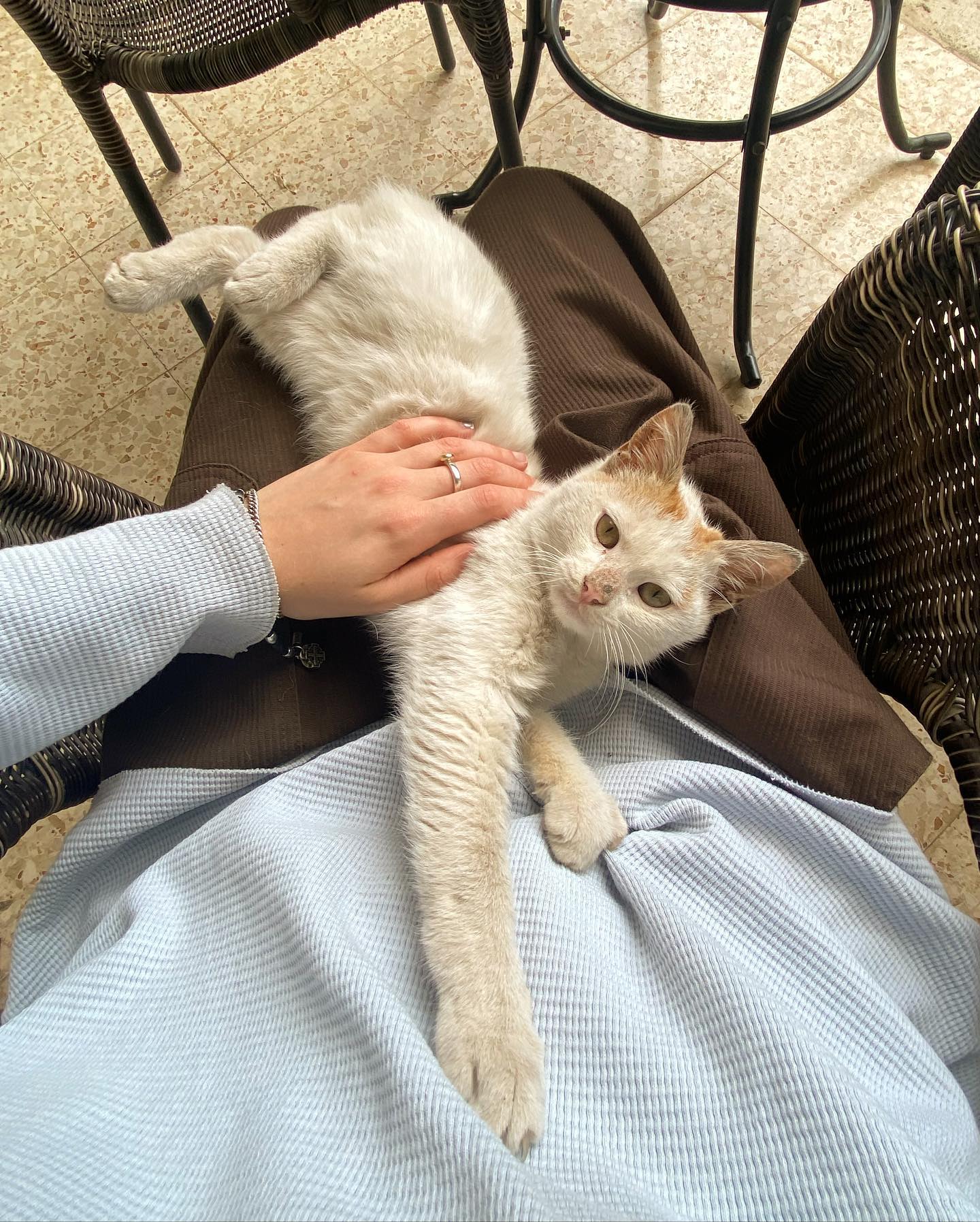 _femalien instagram image archive image