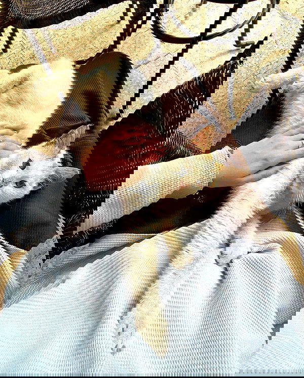 _femalien image ~ Altpins