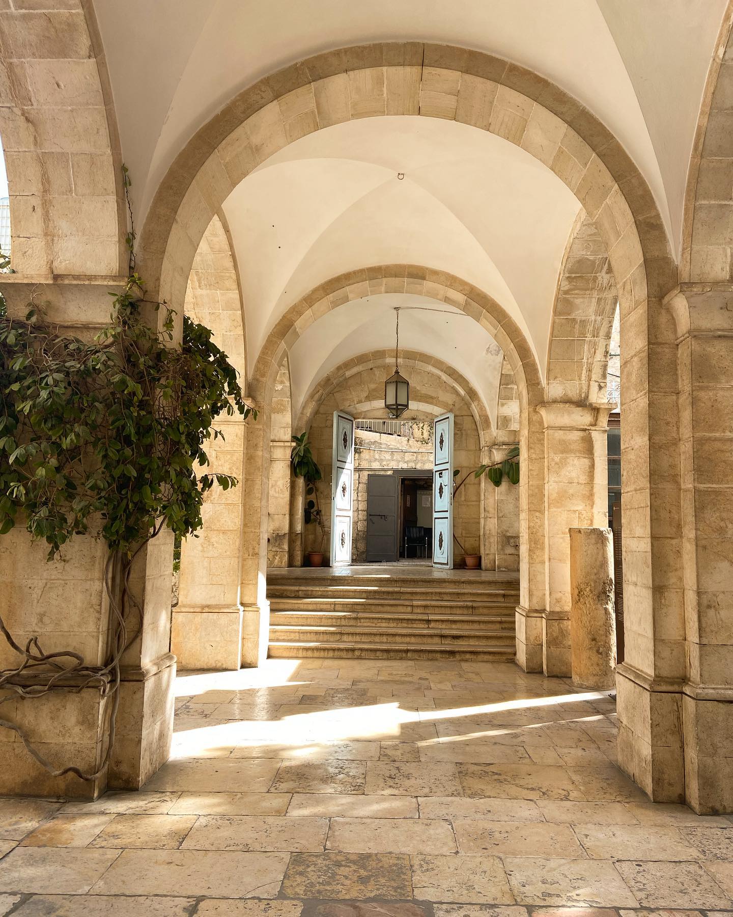 _femalien instagram image archive image