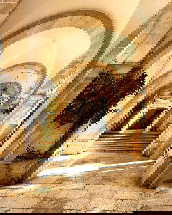 _femalien image ~ Altpins