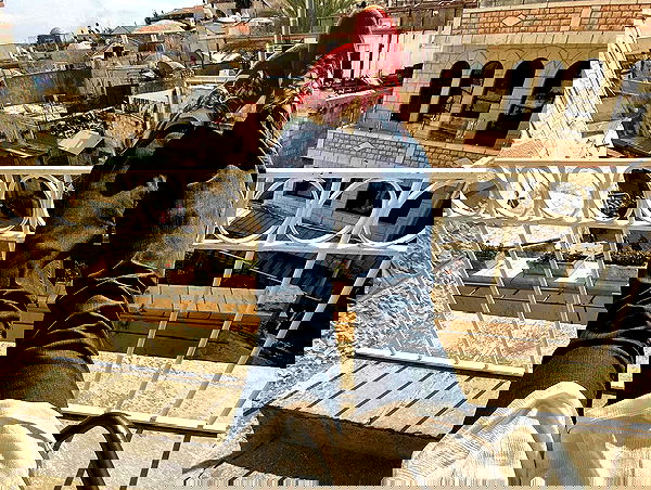 _femalien image ~ Altpins