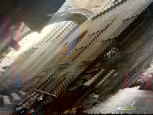 _femalien image ~ Altpins