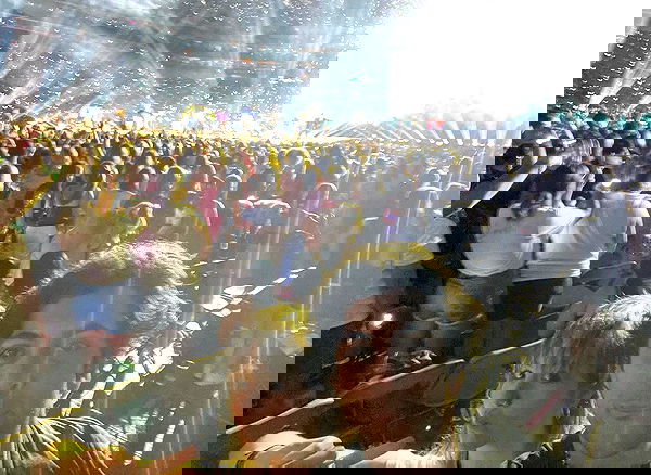 _femalien image ~ Altpins