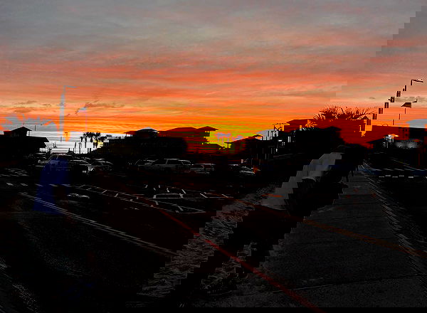 _femalien image ~ Altpins