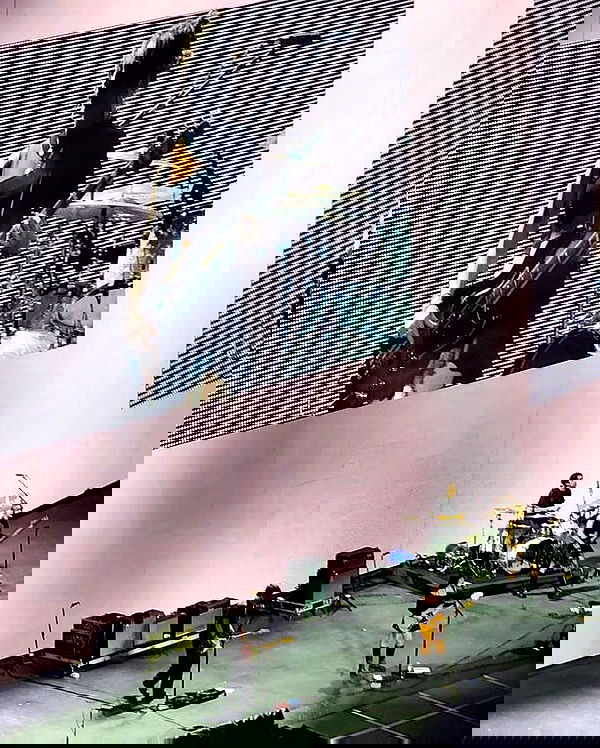 _femalien image ~ Altpins