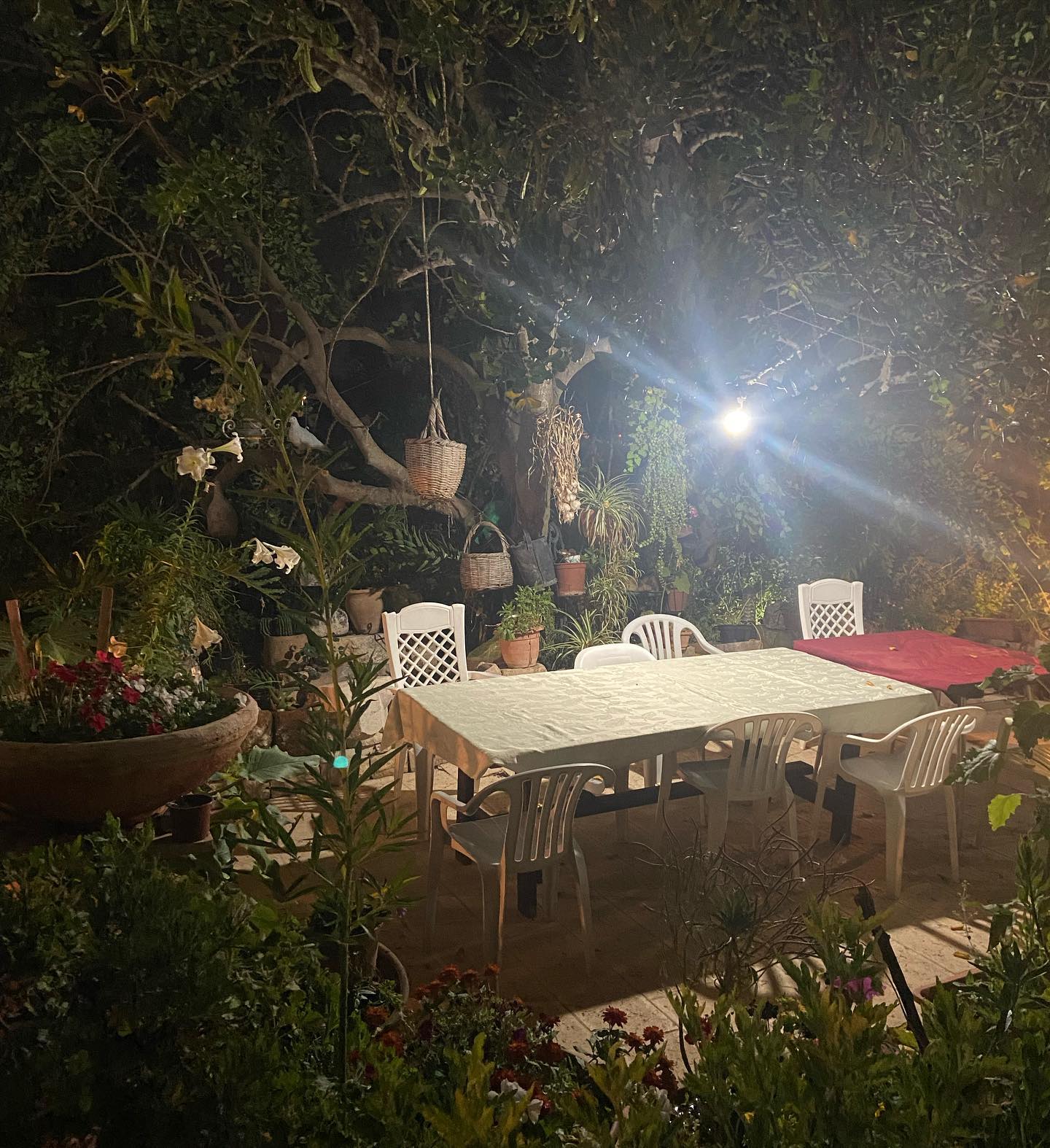 _femalien instagram image archive image