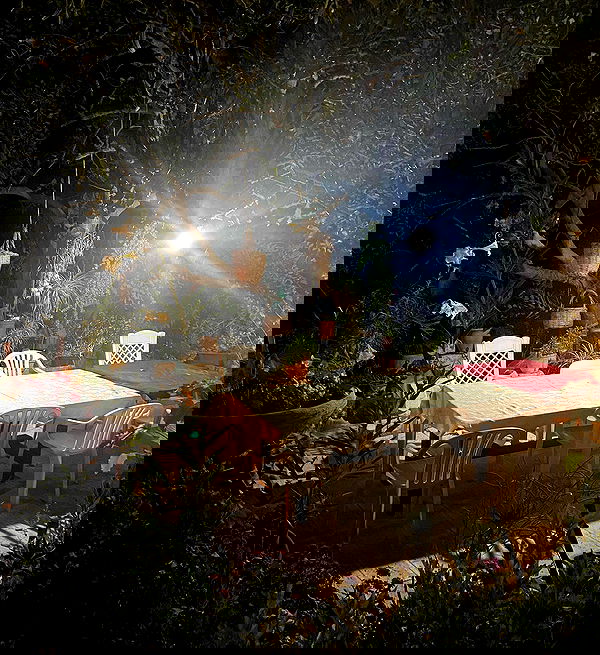 _femalien image ~ Altpins