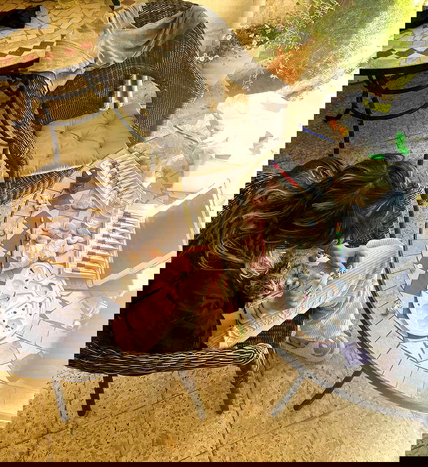 _femalien image ~ Altpins