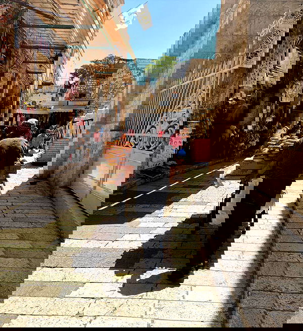 _femalien image ~ Altpins