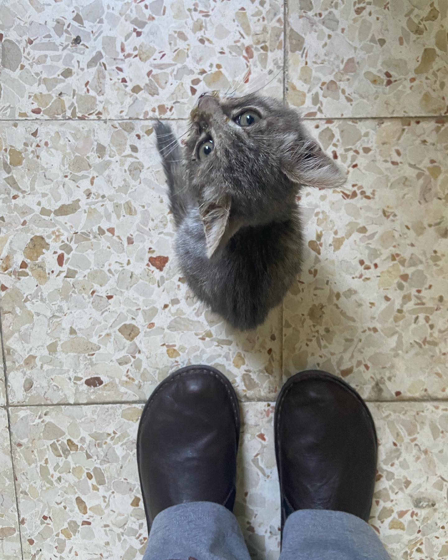 _femalien instagram image archive image