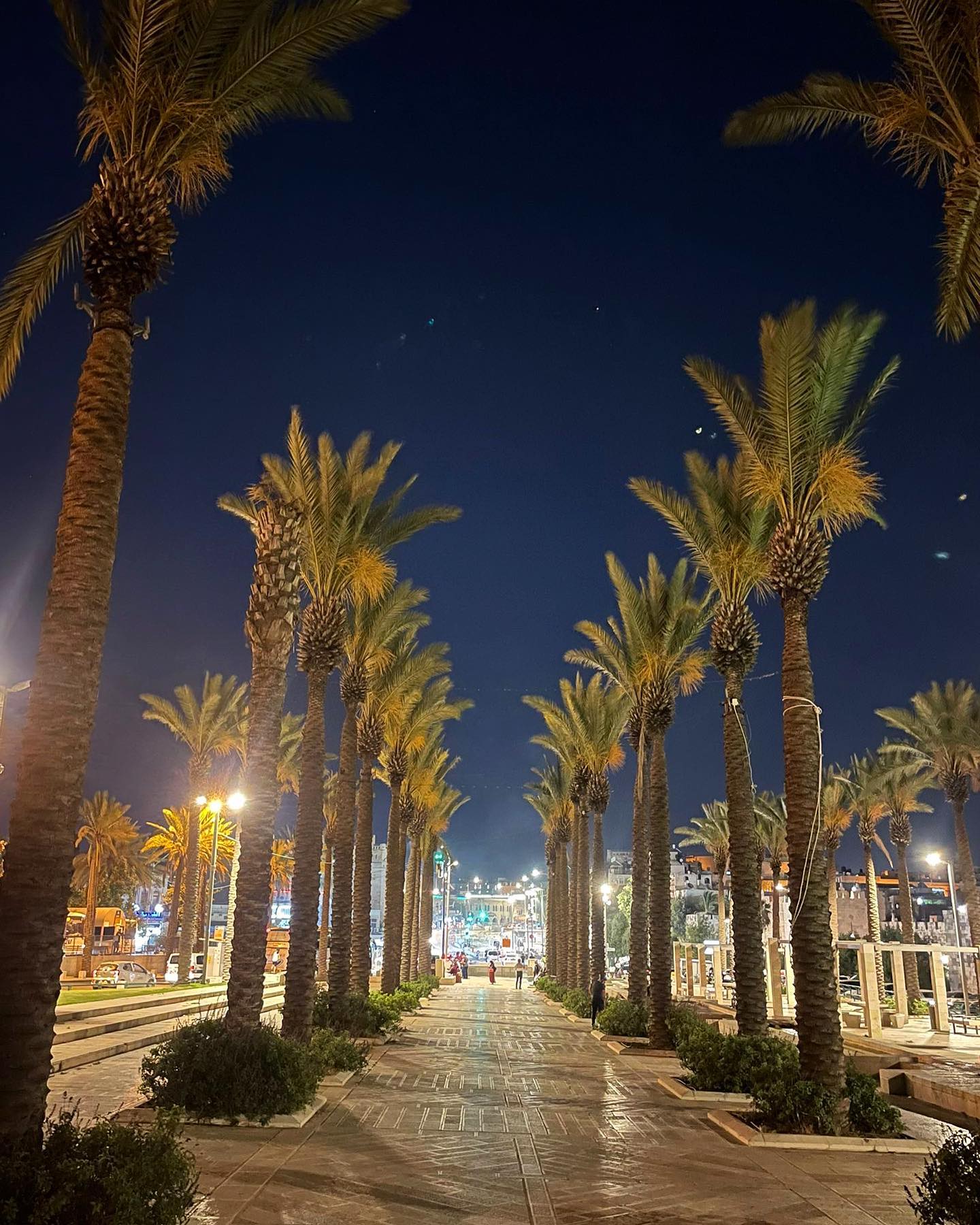 _femalien instagram image archive image