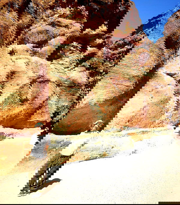 _femalien image ~ Altpins