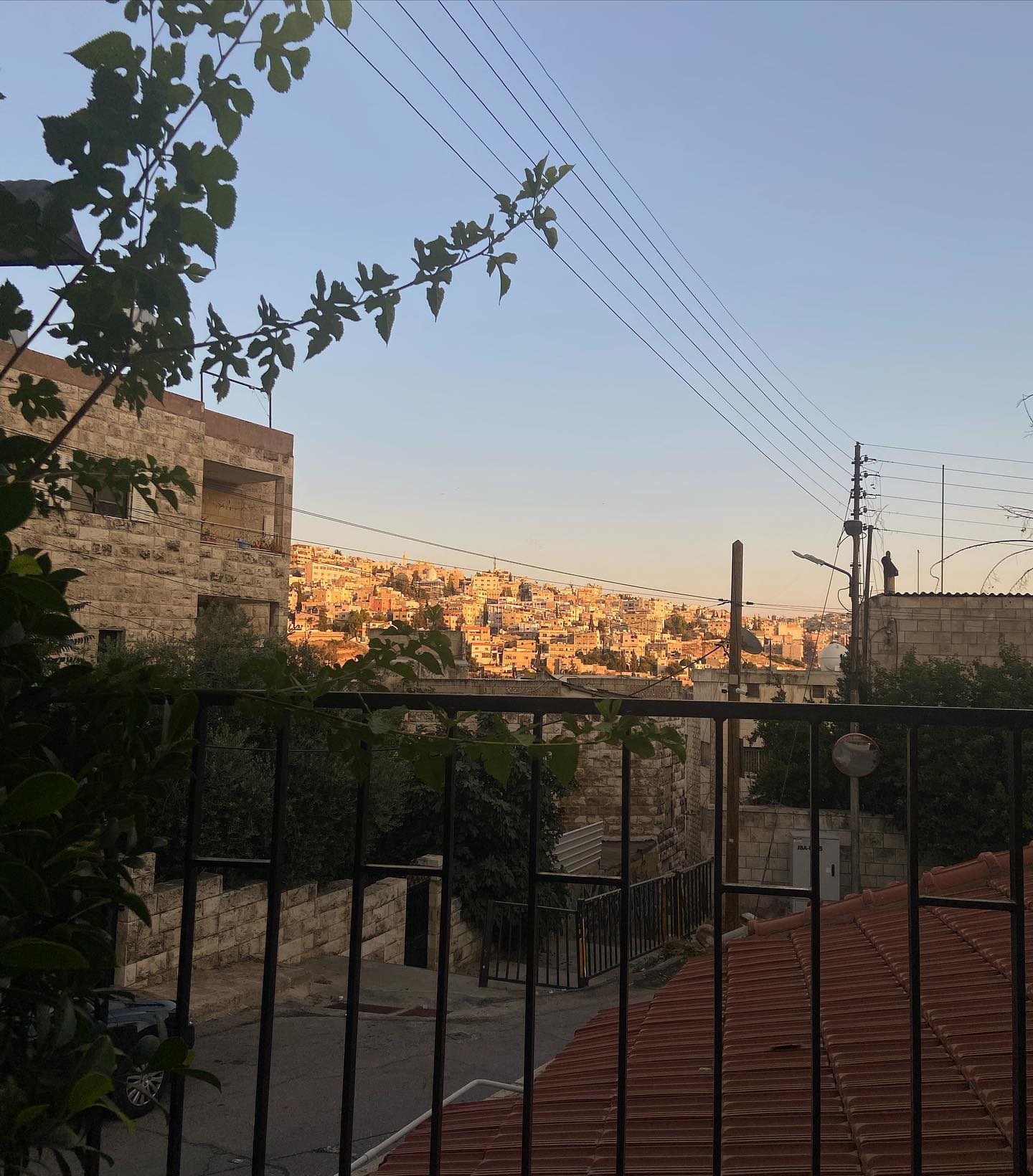 _femalien instagram image archive image