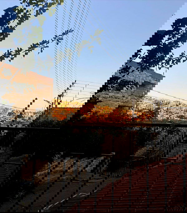 _femalien image ~ Altpins