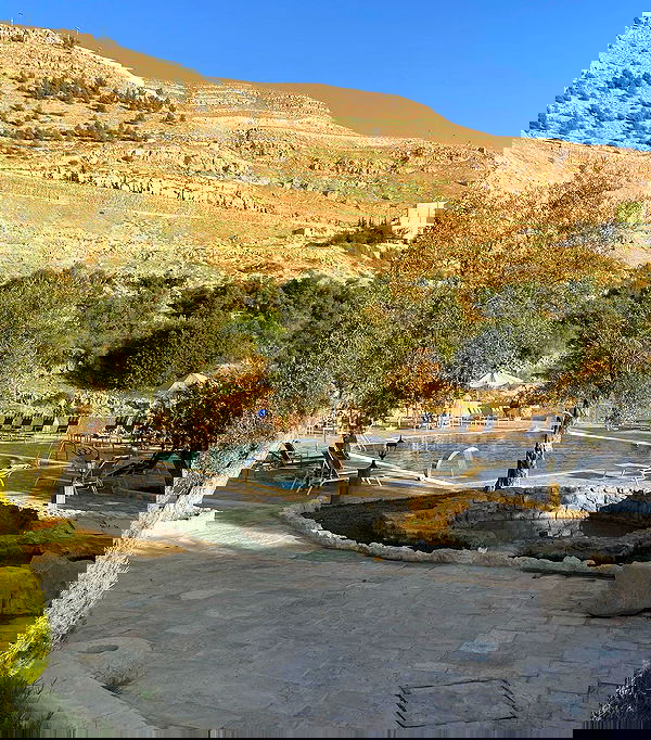 _femalien image ~ Altpins