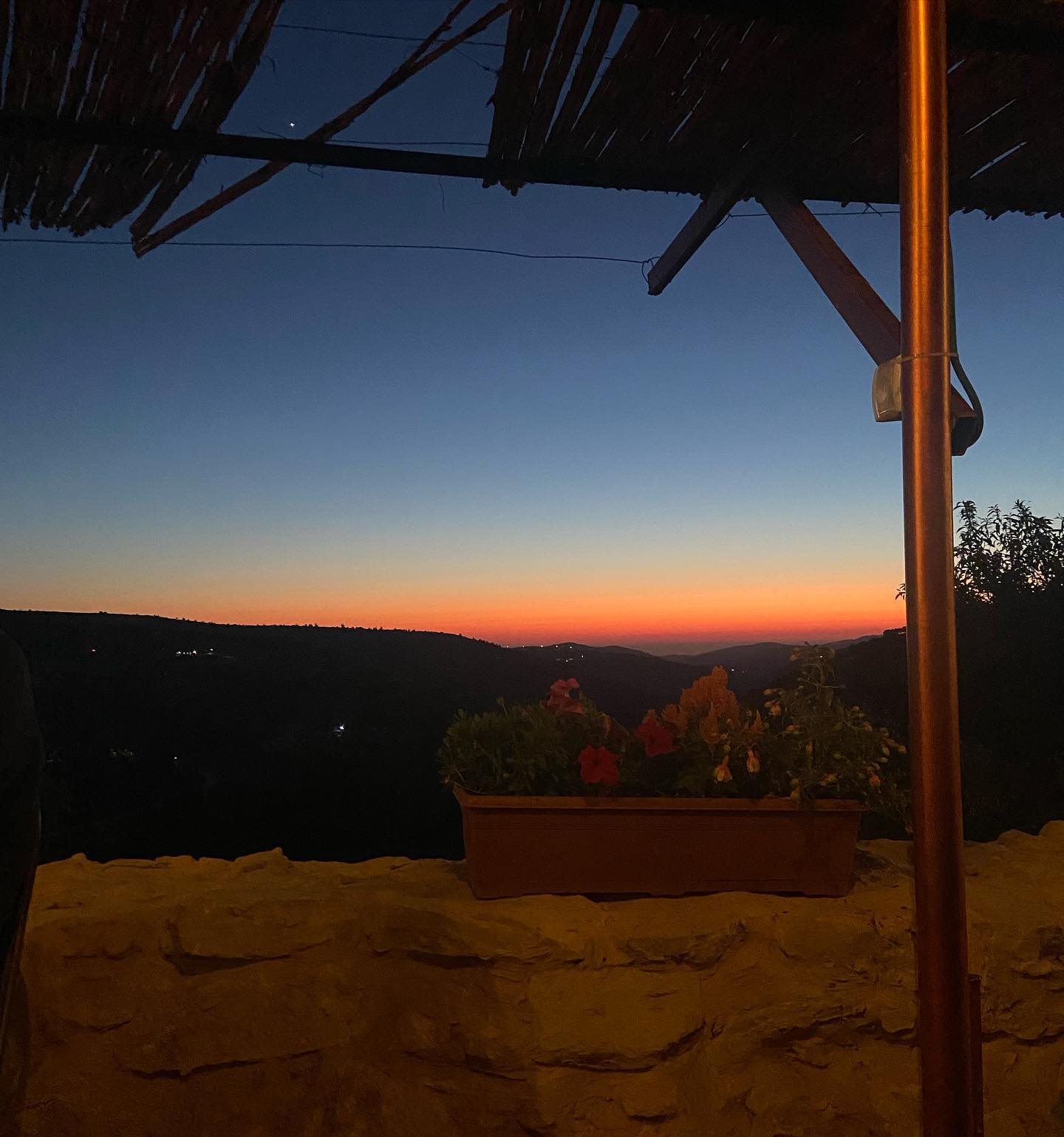 _femalien instagram image archive image