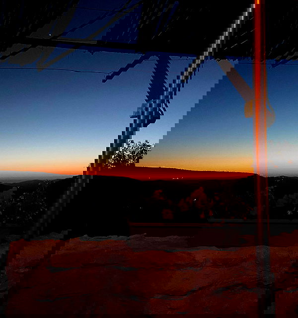 _femalien image ~ Altpins