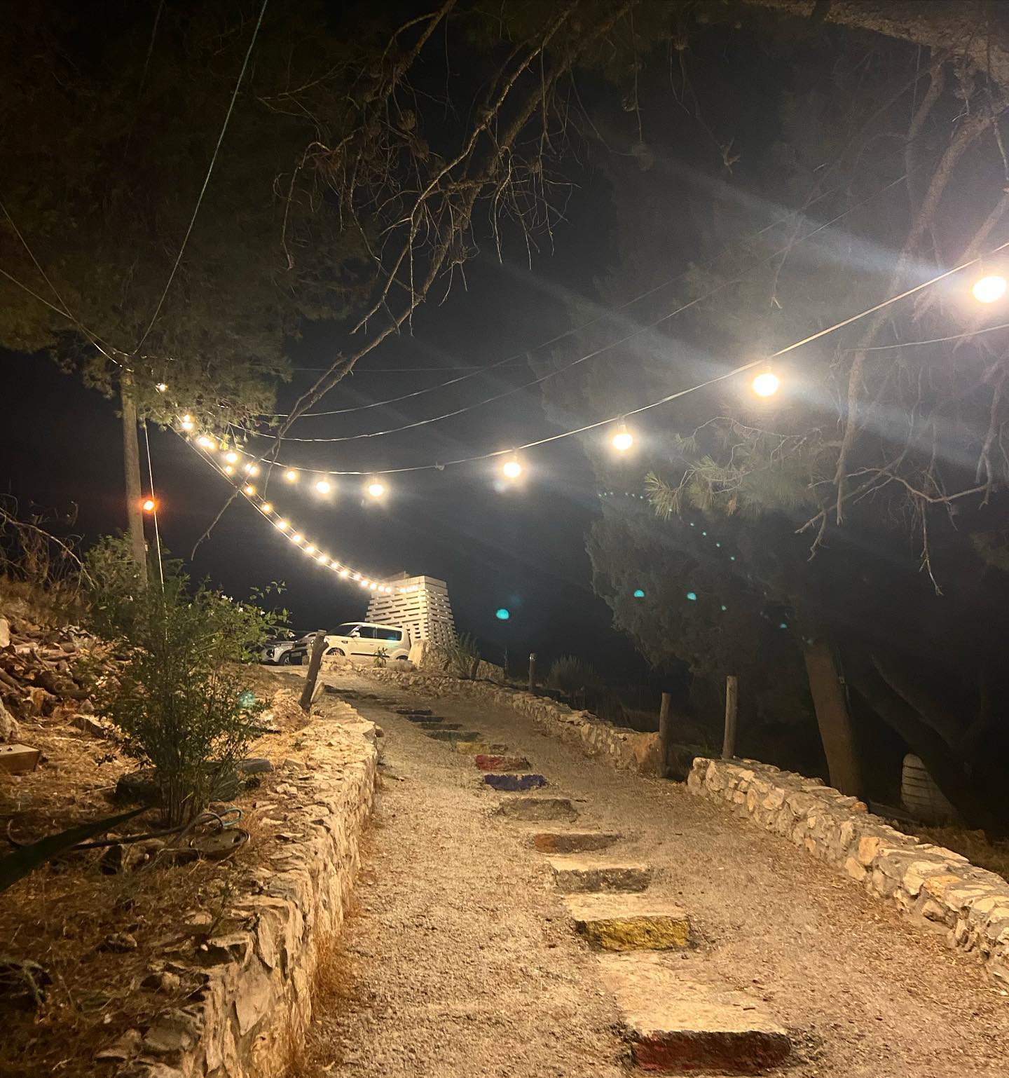 _femalien instagram image archive image