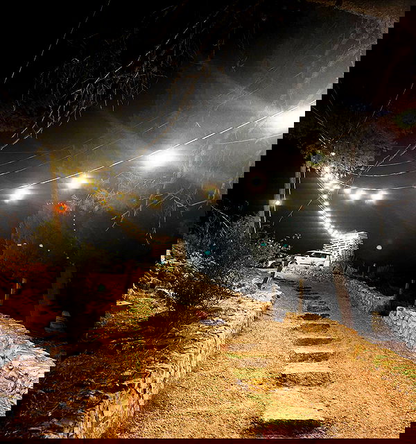 _femalien image ~ Altpins