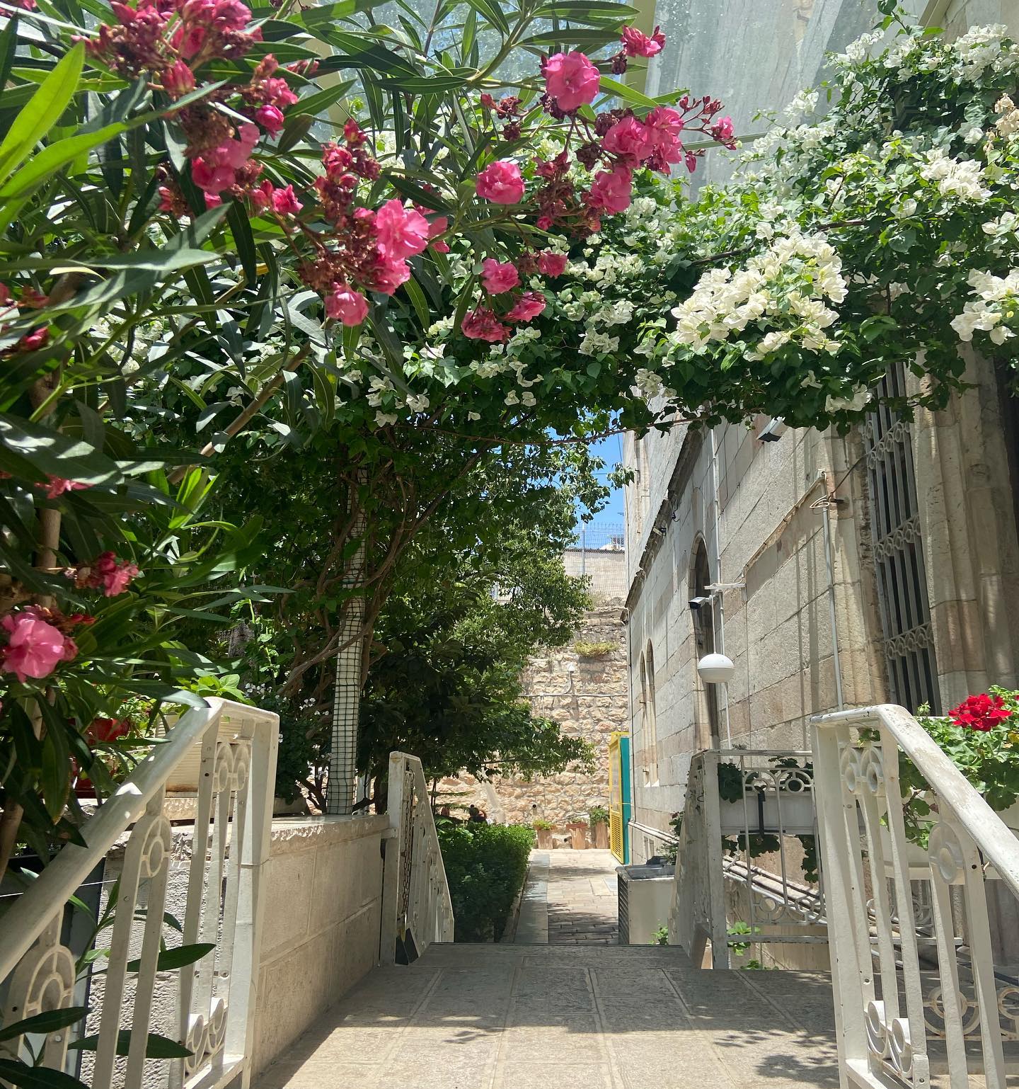 _femalien instagram image archive image