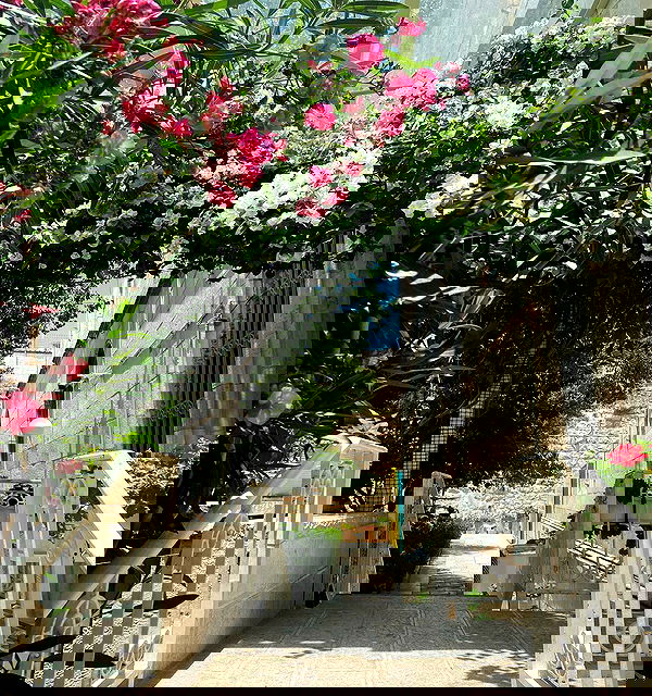 _femalien image ~ Altpins