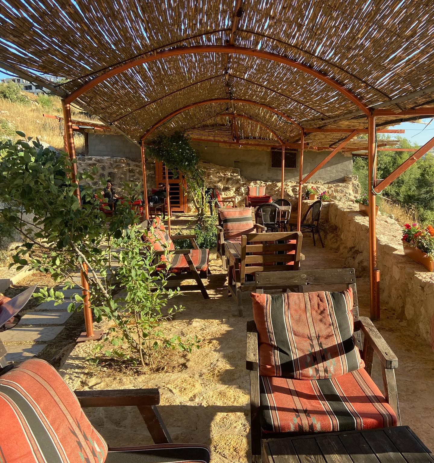 _femalien instagram image archive image