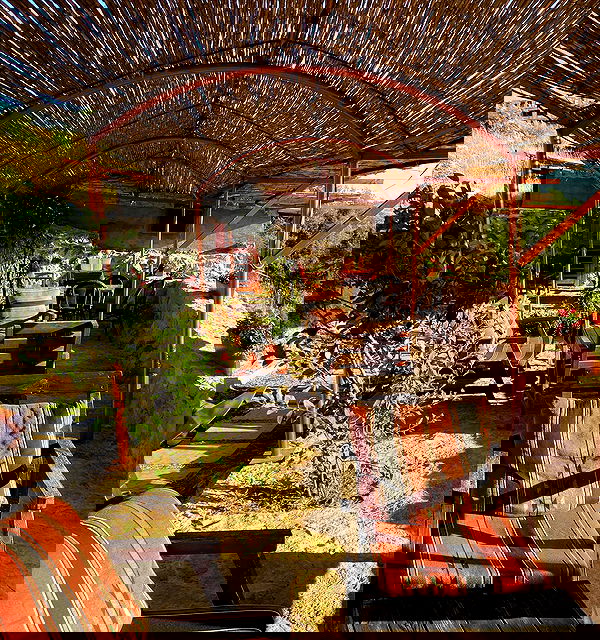 _femalien image ~ Altpins