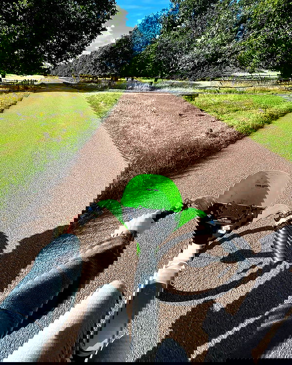 _femalien image ~ Altpins