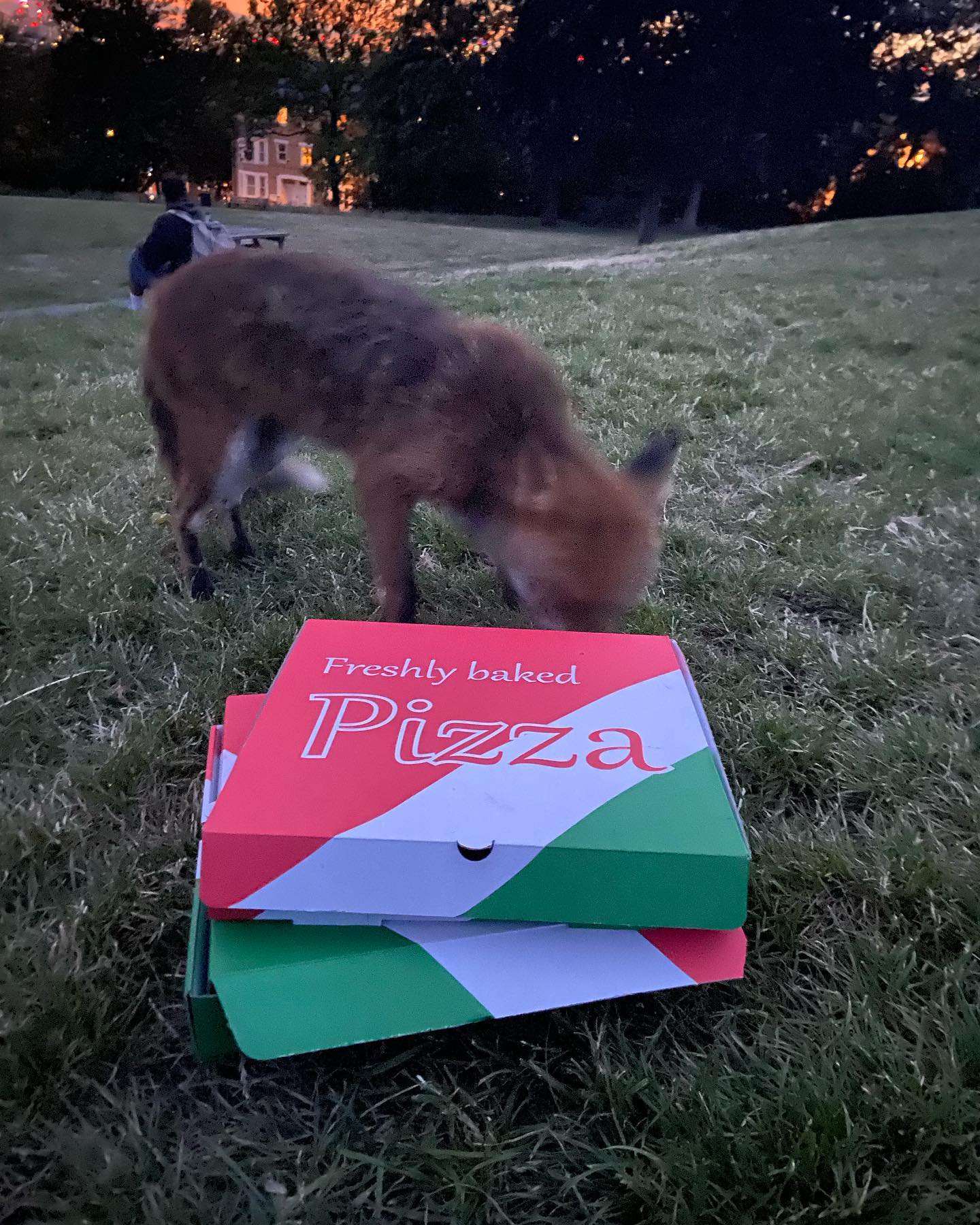 _femalien instagram image archive image