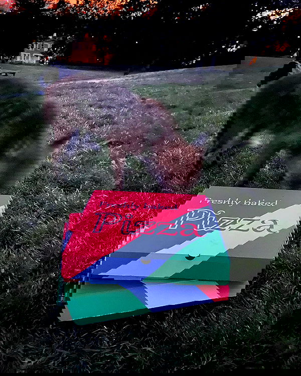 _femalien image ~ Altpins