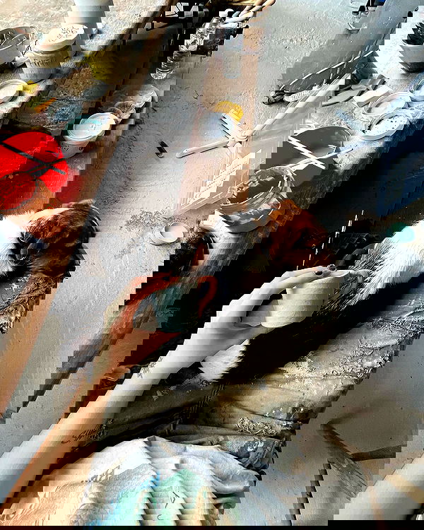 _femalien image ~ Altpins