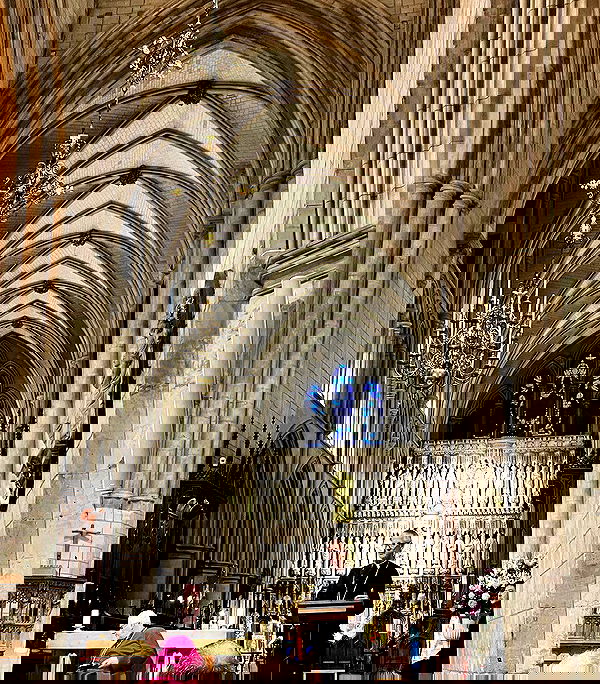 _femalien image ~ Altpins