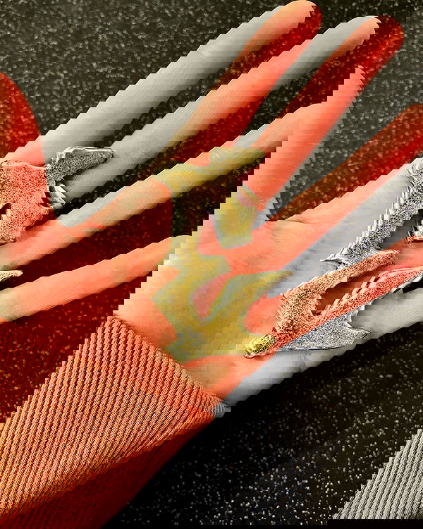 _femalien image ~ Altpins