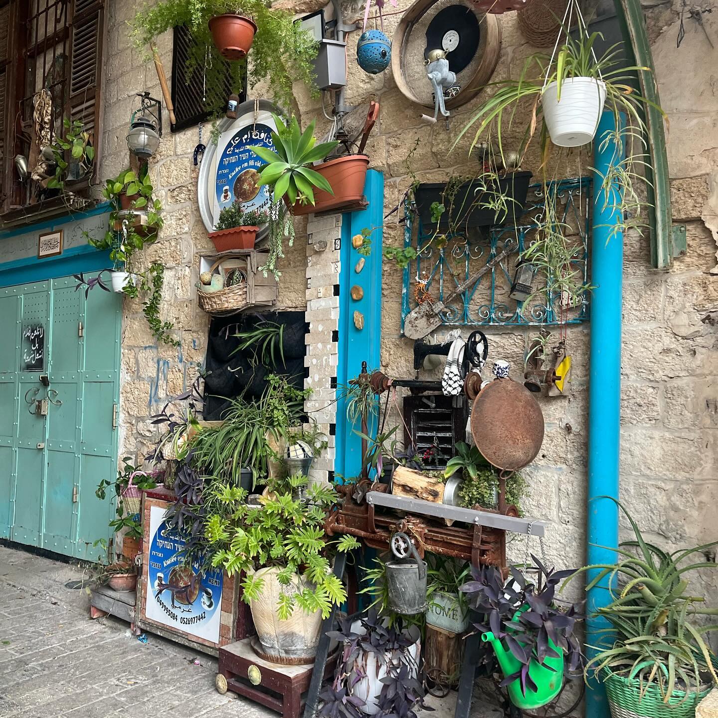 _femalien instagram image archive image