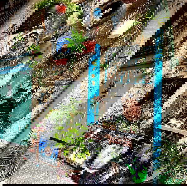 _femalien image ~ Altpins