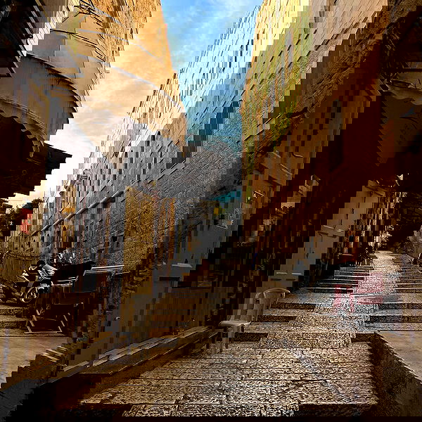 _femalien image ~ Altpins