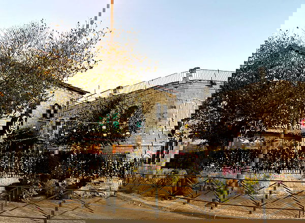 _femalien image ~ Altpins