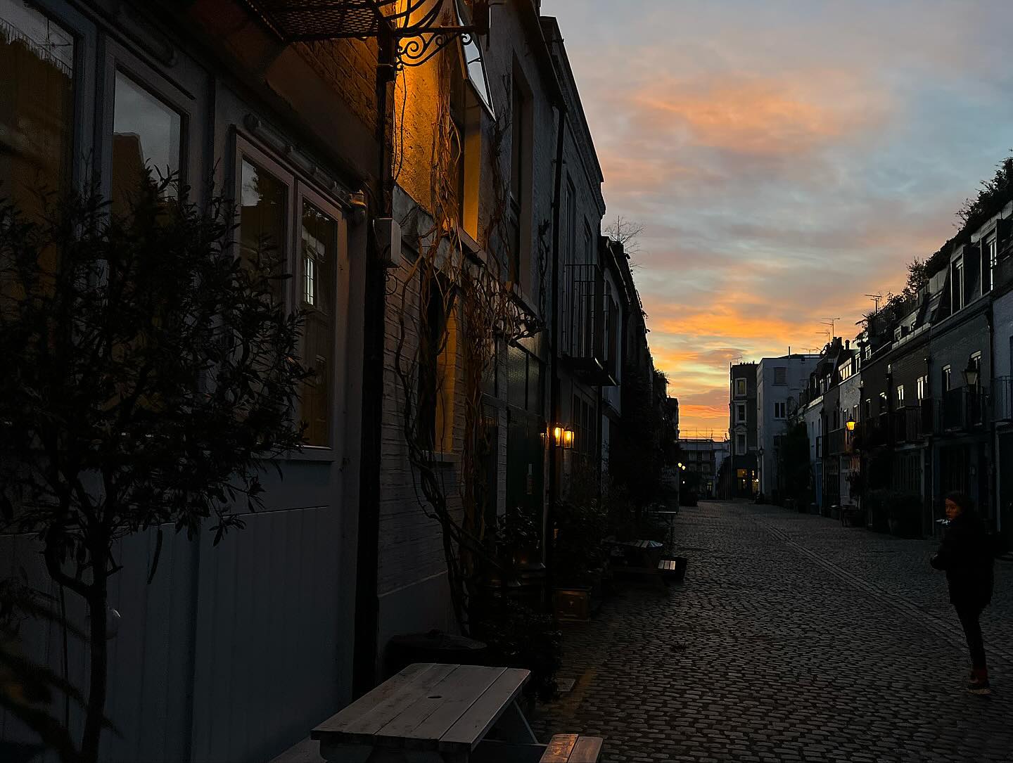 _femalien instagram image archive image